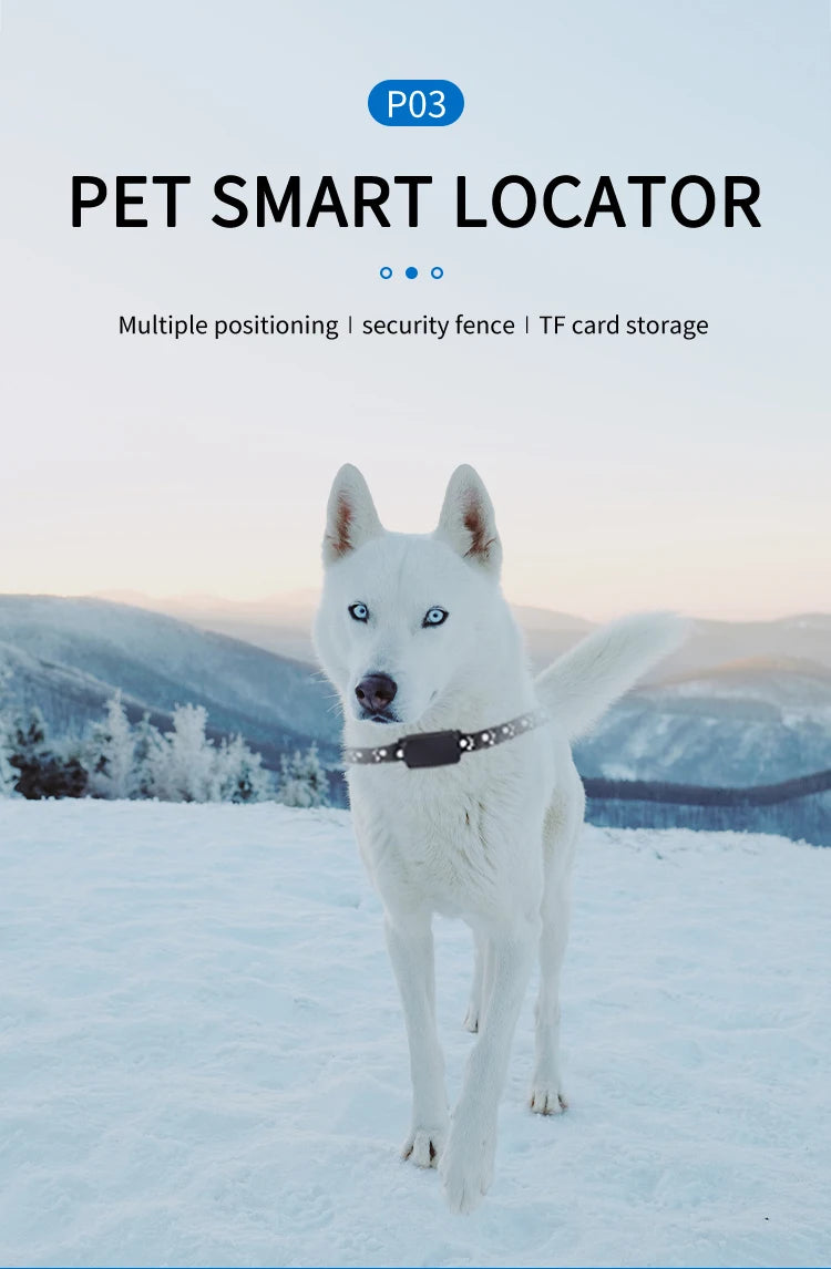 With Gps Tracker Pet Collar Waterproof Anti-Lost Dog Collar For Dogs Cats Outdoor Long Standby Footprint Tracking Locator Items