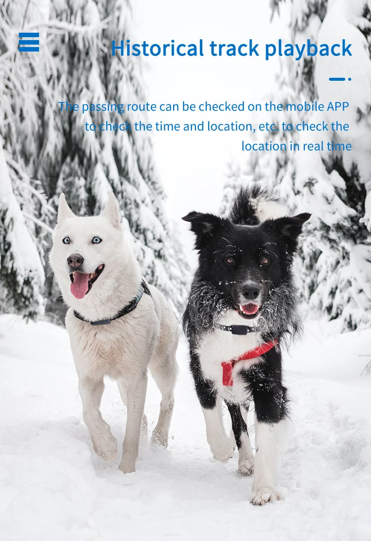 With Gps Tracker Pet Collar Waterproof Anti-Lost Dog Collar For Dogs Cats Outdoor Long Standby Footprint Tracking Locator Items